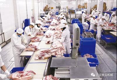 觸目驚心！豬價“跌跌不休”，養殖戶何去何從？食品銷售端迎來新挑戰與機遇